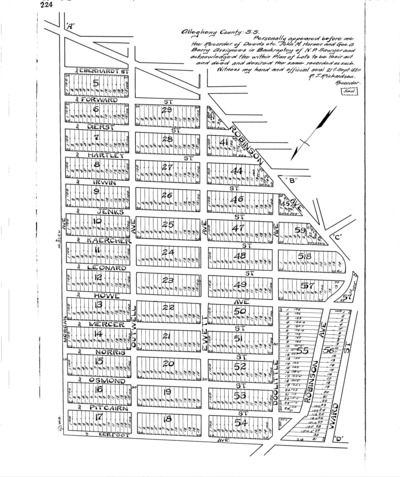 Ashchenaz plan.tiff